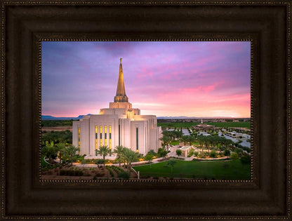 Gilbert Pink Sunrise