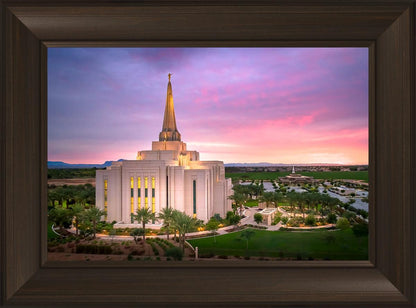 Gilbert Pink Sunrise