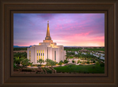 Gilbert Pink Sunrise