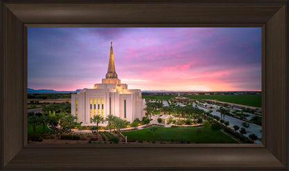Gilbert Pink Sunrise