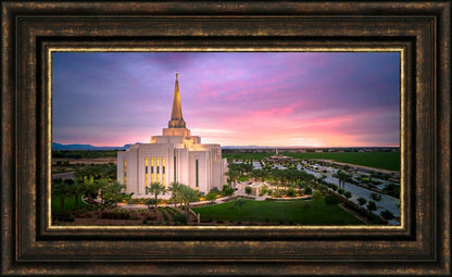 Gilbert Pink Sunrise