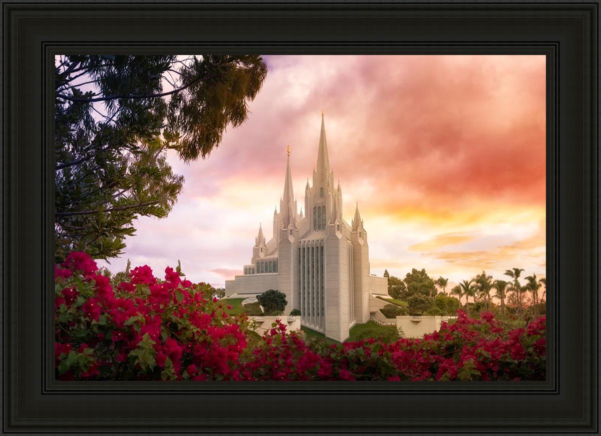 San Diego Flowers