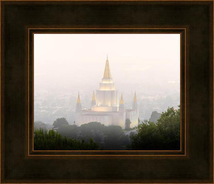 Foggy Oakland