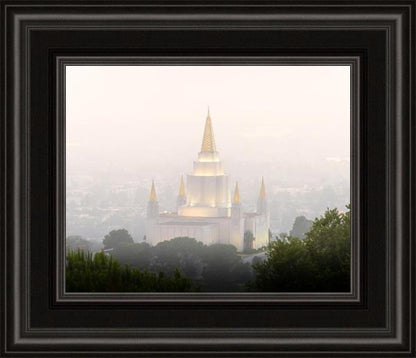 Foggy Oakland
