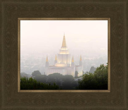 Foggy Oakland