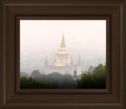Foggy Oakland