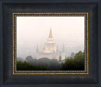 Foggy Oakland