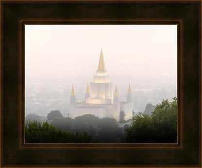 Foggy Oakland