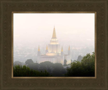 Foggy Oakland