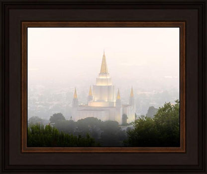 Foggy Oakland