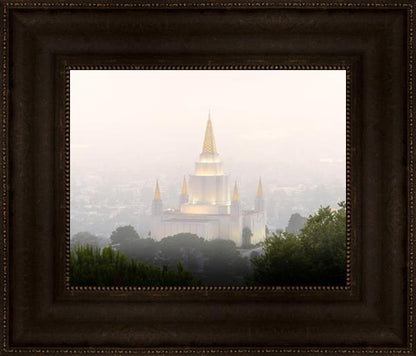 Foggy Oakland