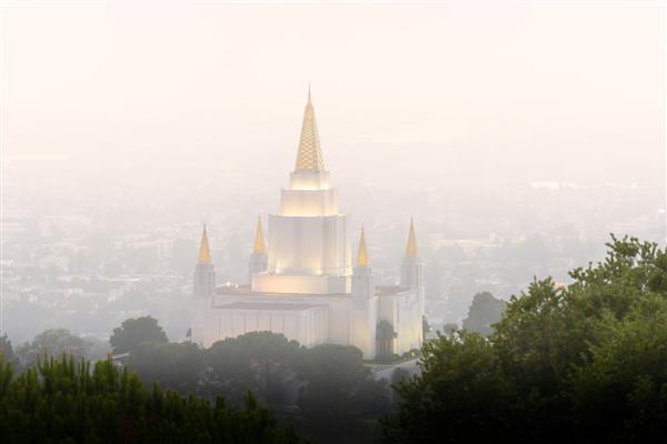 Foggy Oakland