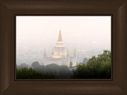 Foggy Oakland