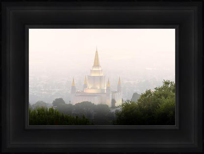 Foggy Oakland