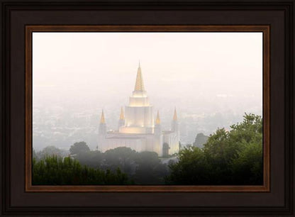 Foggy Oakland