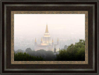 Foggy Oakland