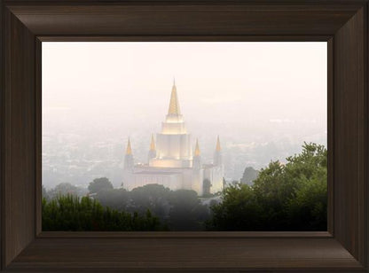 Foggy Oakland
