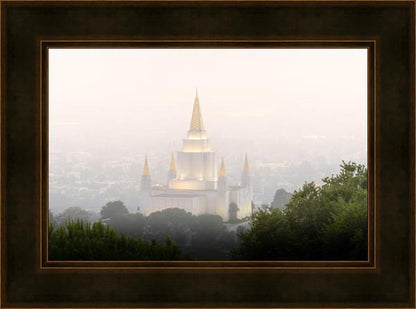Foggy Oakland