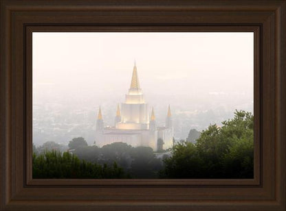 Foggy Oakland