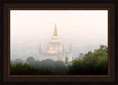 Foggy Oakland