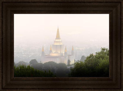 Foggy Oakland