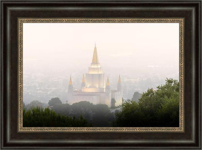 Foggy Oakland
