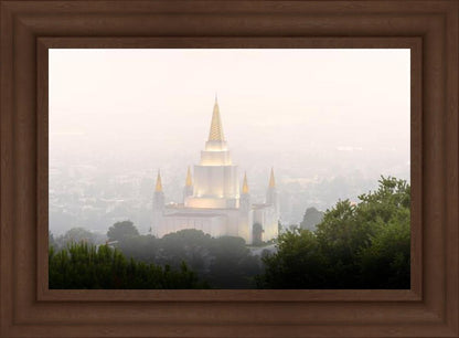 Foggy Oakland