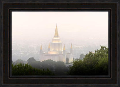 Foggy Oakland