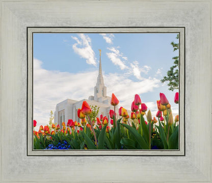 Ogden Flowers