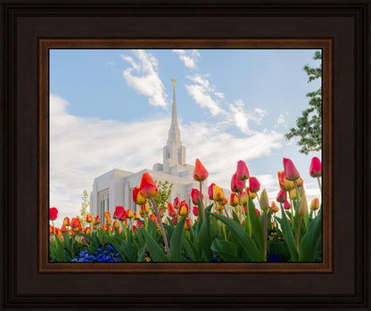 Ogden Flowers
