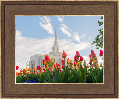 Ogden Flowers