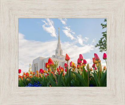 Ogden Flowers
