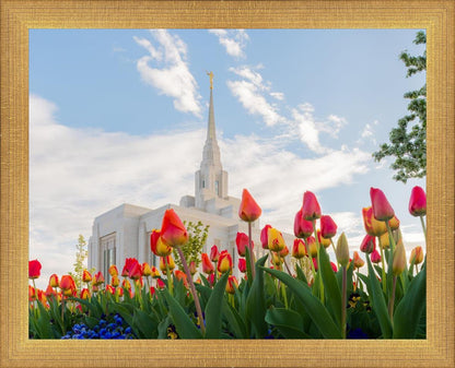 Ogden Flowers