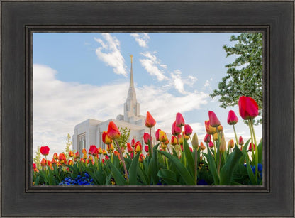 Ogden Flowers