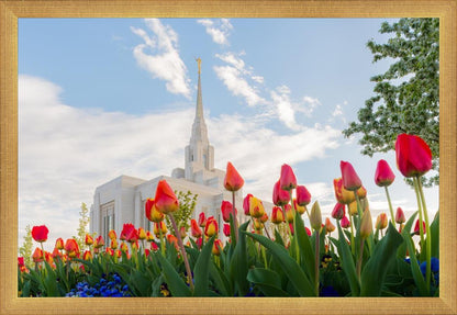 Ogden Flowers