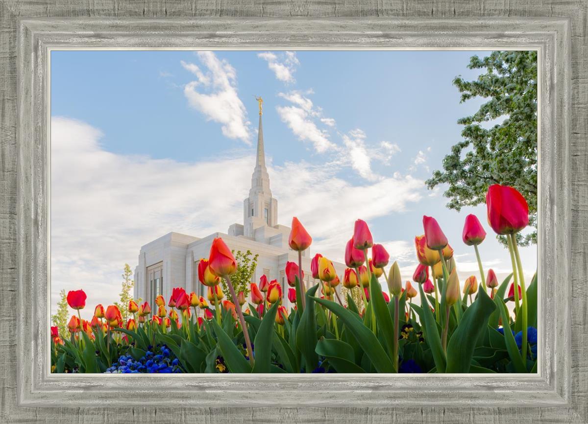 Ogden Flowers