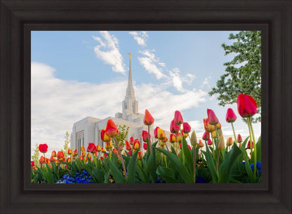 Ogden Flowers