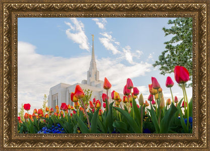 Ogden Flowers