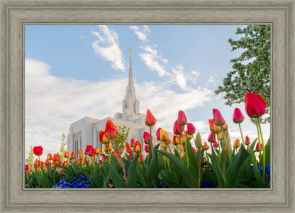 Ogden Flowers