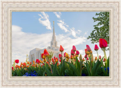 Ogden Flowers