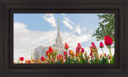 Ogden Flowers