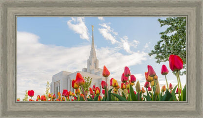 Ogden Flowers