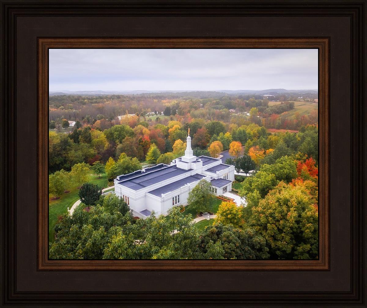 Palmyra and Sacred Grove Aerial