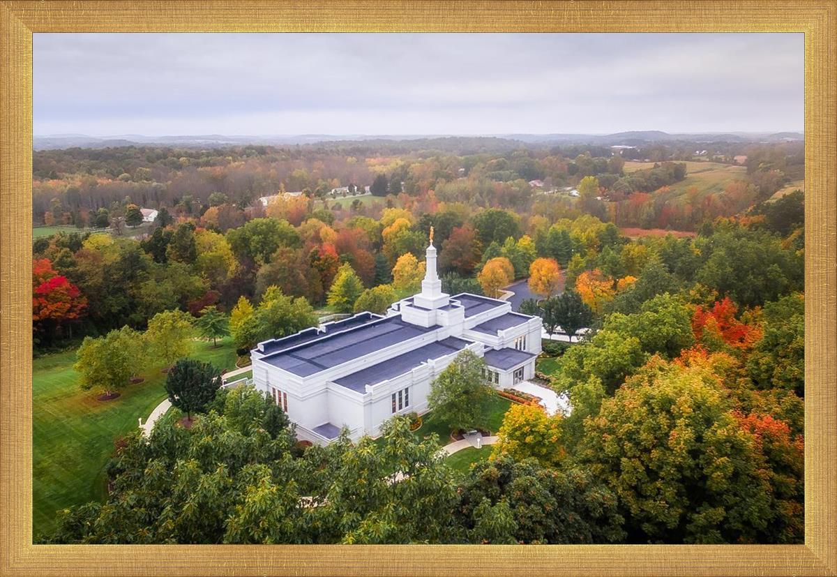 Palmyra and Sacred Grove Aerial