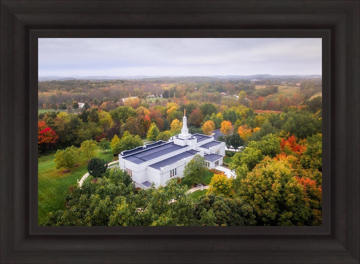 Palmyra and Sacred Grove Aerial