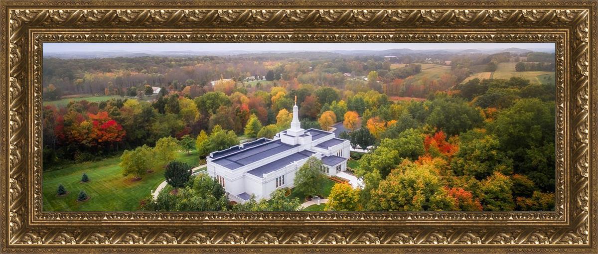 Palmyra and Sacred Grove Aerial