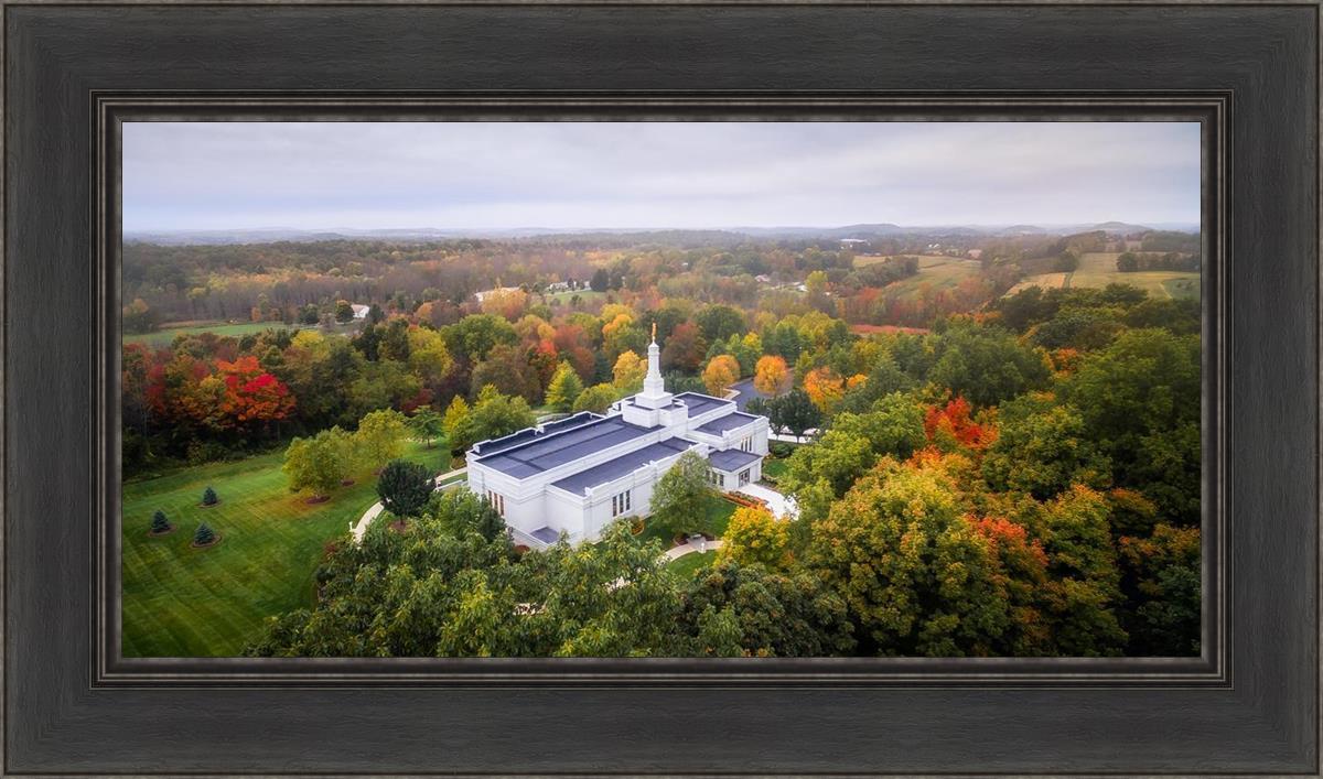 Palmyra and Sacred Grove Aerial