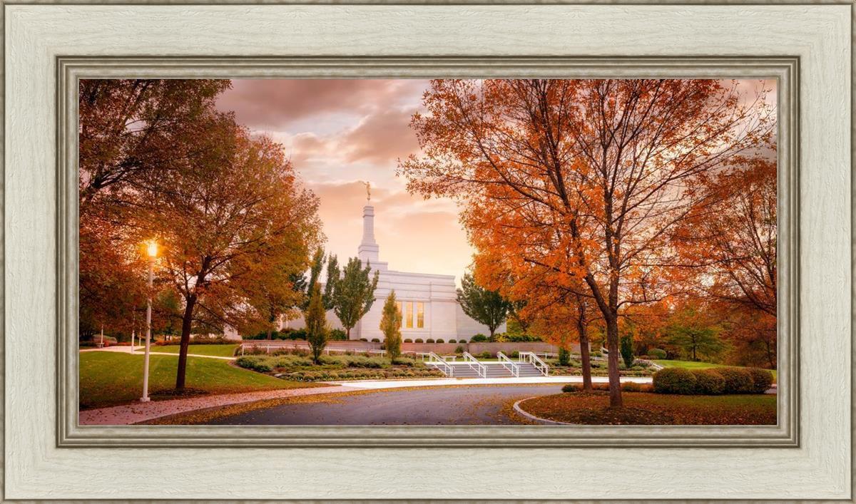 Palmyra Autumn