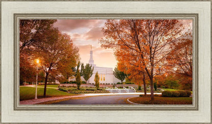 Palmyra Autumn