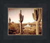 Phoenix Saguaro Cactus